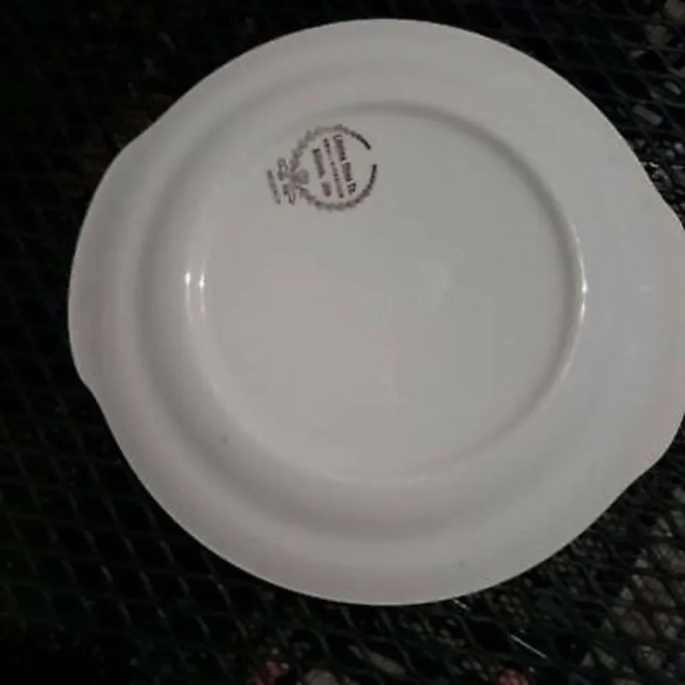 Regency by Lifetime China Co. Platter 10